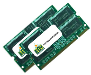 7304-MEM-G100-1GB-BIT