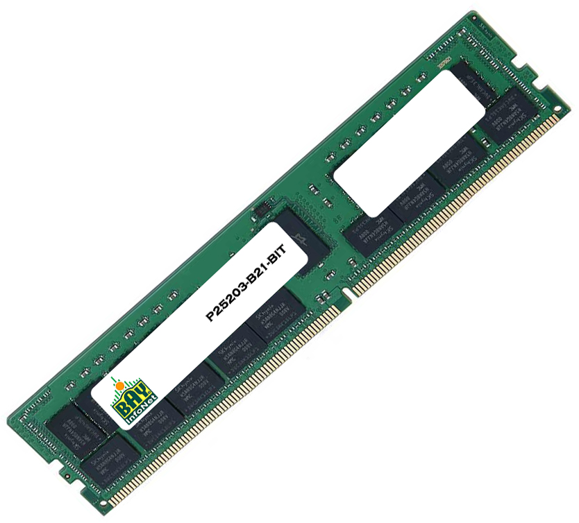P25203-B21-BIT