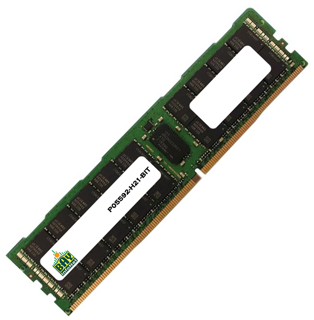 P05592-H21-BIT