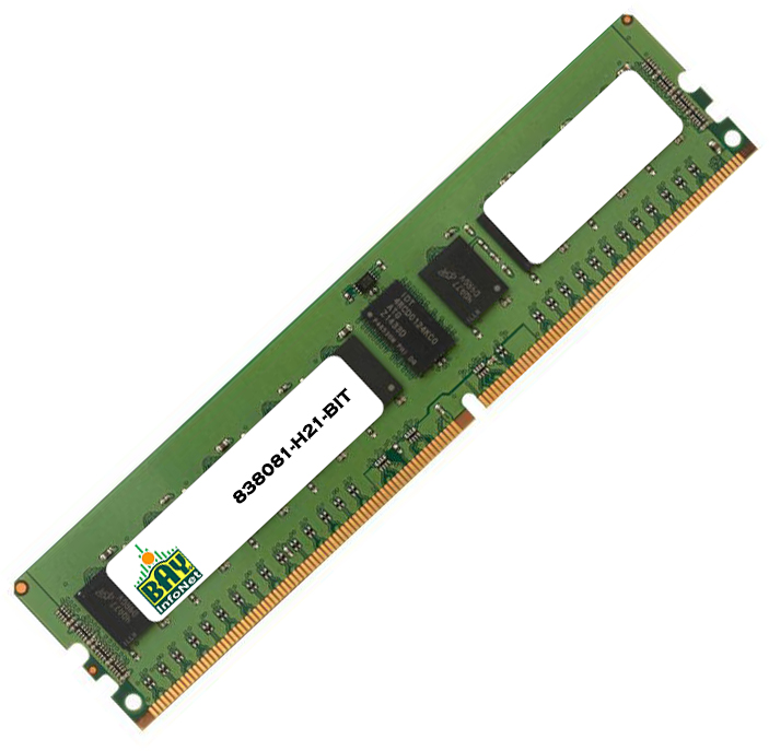 838081-H21-BIT