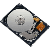 DISK-SAS-300GB